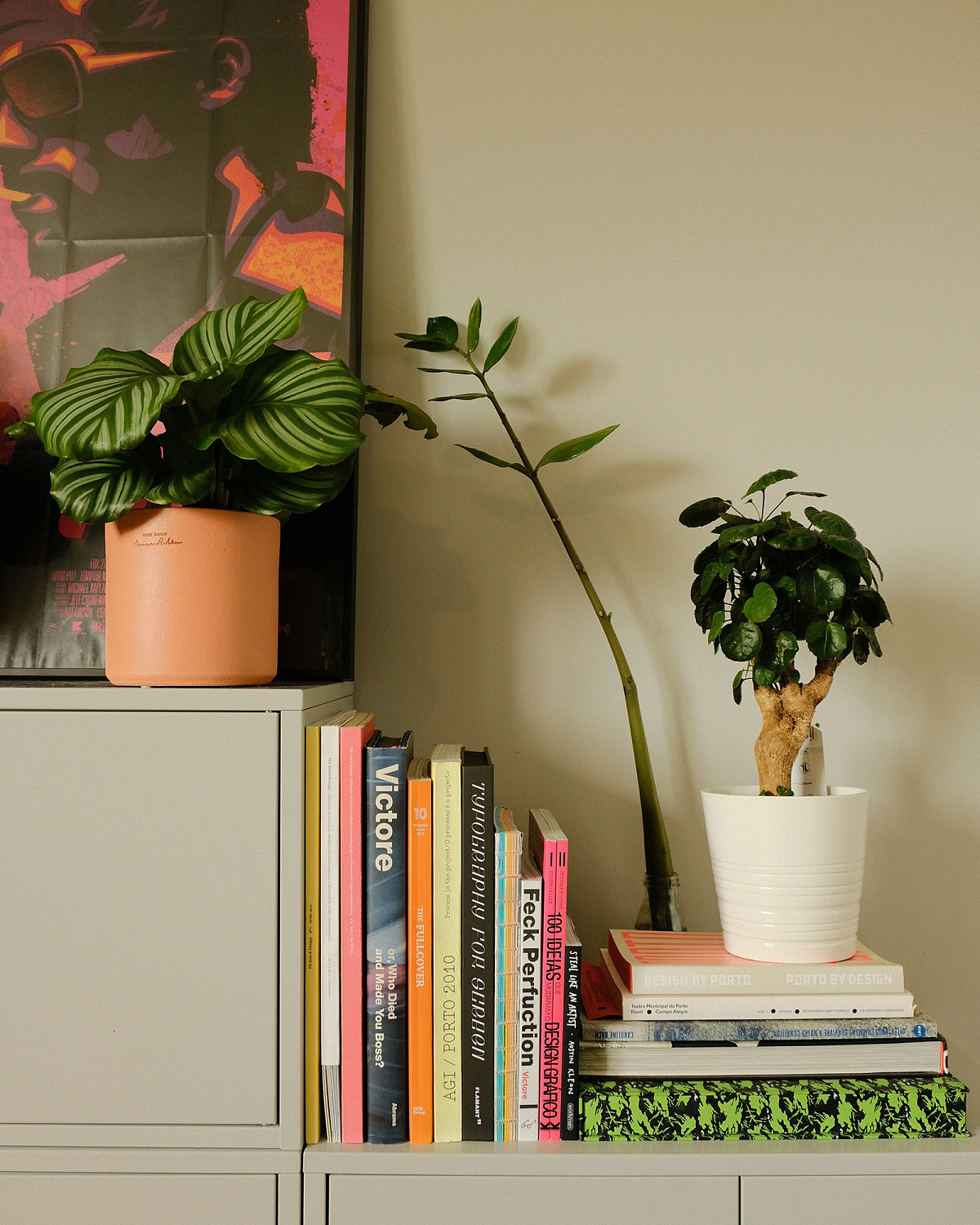 Photography of a shelf with some design books and two beautiful plants, inside the about page.