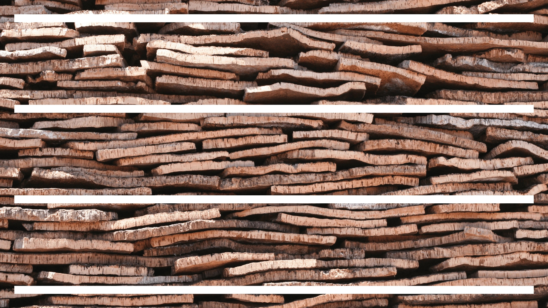 Image taken from the Amorim motion film, a photograph of layers of cork in a pile with 4 white lines following it.