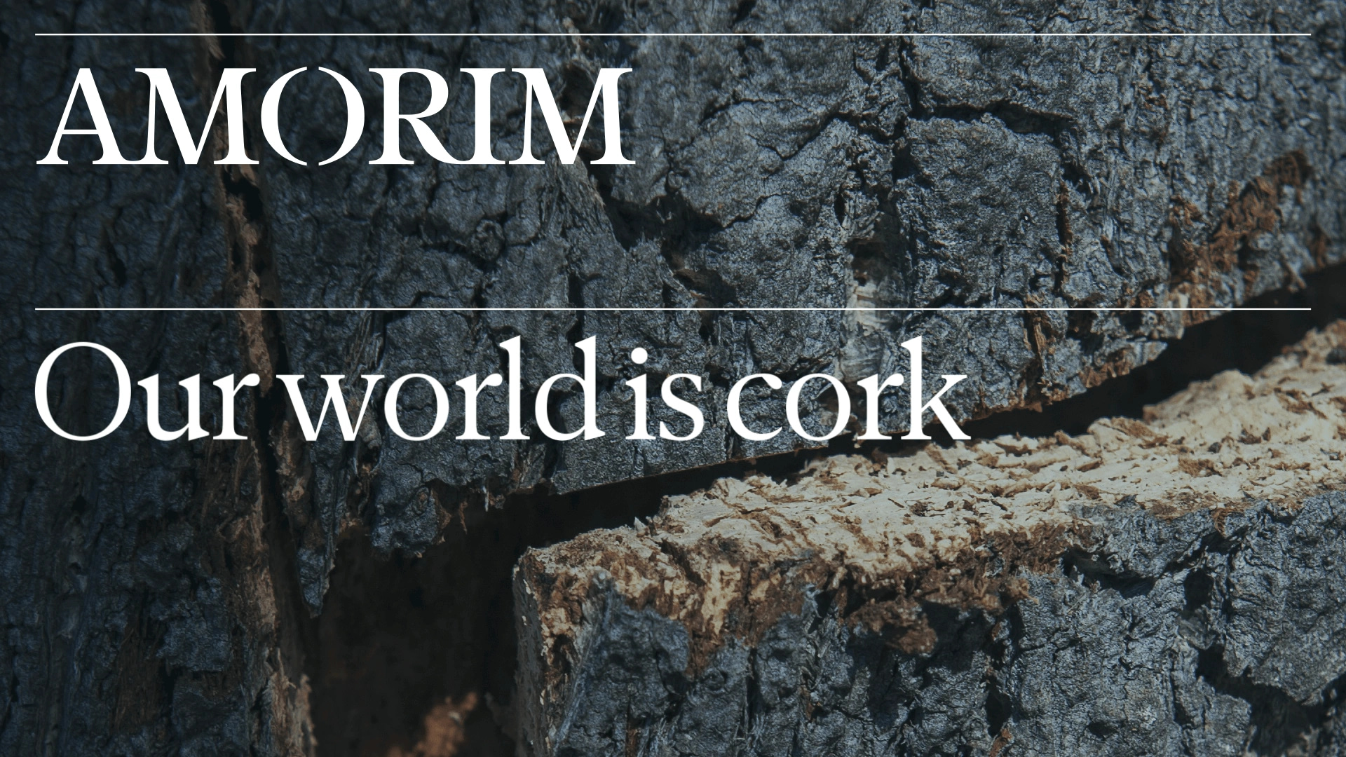 Image taken from the Amorim motion film, a photography of a tree's texture with the Amorim logo and the signature "Our world is cork".